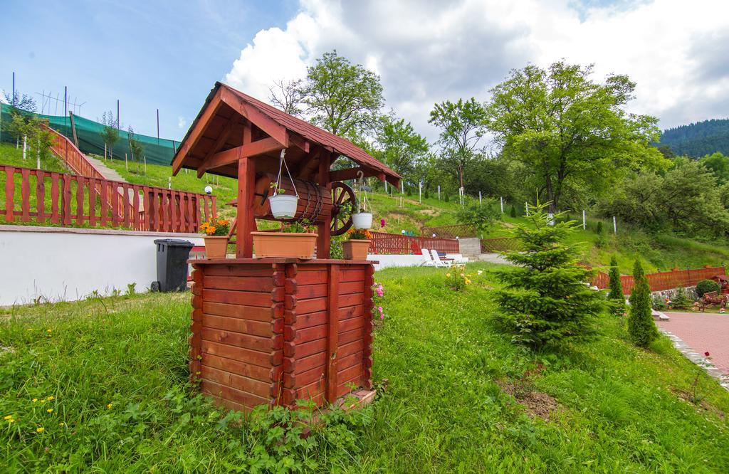 Pensiunea Tinelu Brasov Săcele Exterior foto